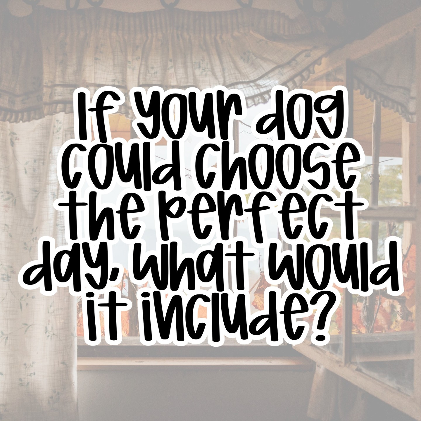 Happy National Make a Dog’s Day! 🐶🧡 If your pup got to plan the ENTIRE day, what would you be doing? 😂🐾 Unlimited treats? Car rides? Walks? Naps?